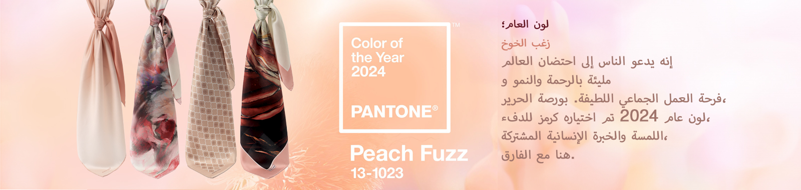 ar-site-pantone.jpg (345 KB)