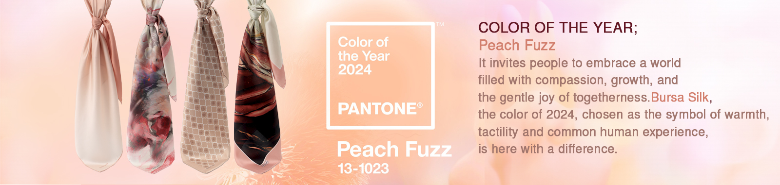 en-site-pantone.jpg (378 KB)