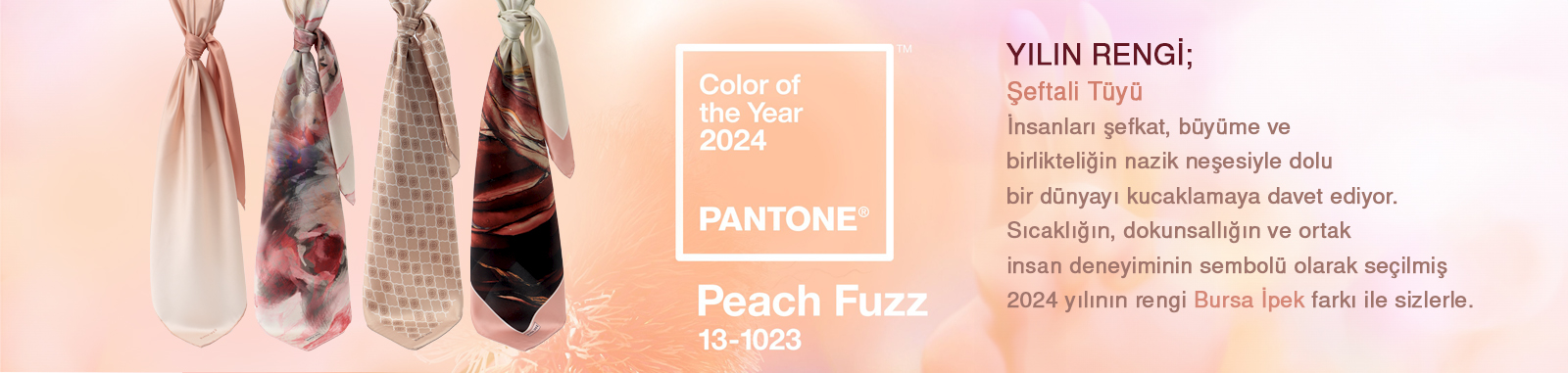 site-pantone-2024-yilin-rengi-bursa-ipek-seftali-tuyu-peach-fuzz.jpg (364 KB)