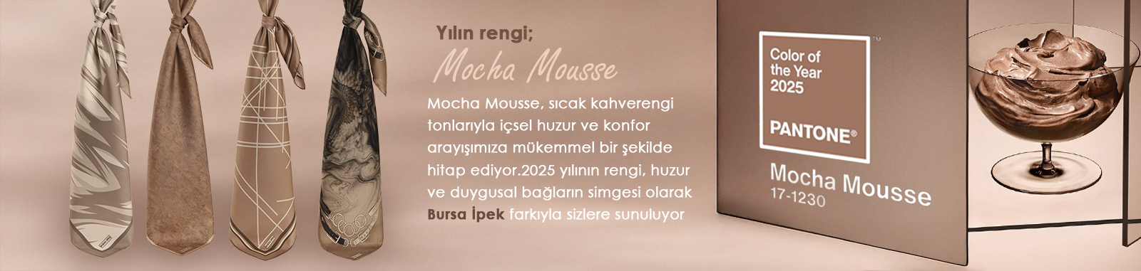 site-2025-mocha-mousse-tr.jpg (170 KB)